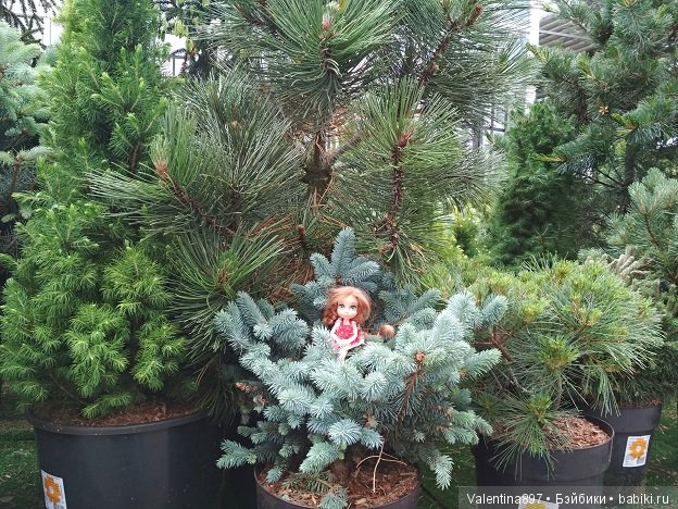 Как Даринка в ОБИ побывала