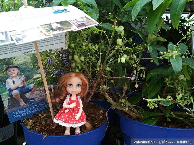 Как Даринка в ОБИ побывала