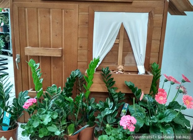 Как Даринка в ОБИ побывала (фото 4)