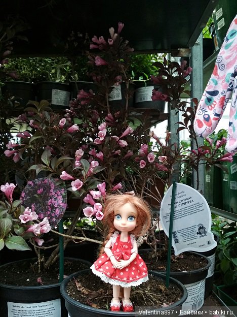 Как Даринка в ОБИ побывала