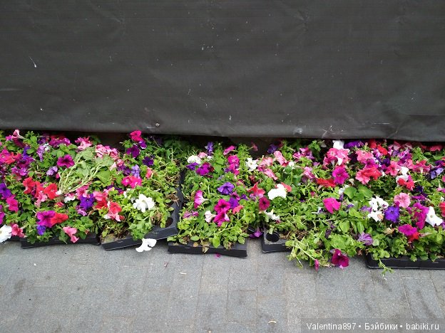 Фан зона на Воробьевых горах, разочарование от посещения центра Москвы,Смотрим футбол в метро, болеем за наших