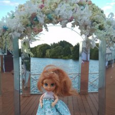 Свадьба сына!!!