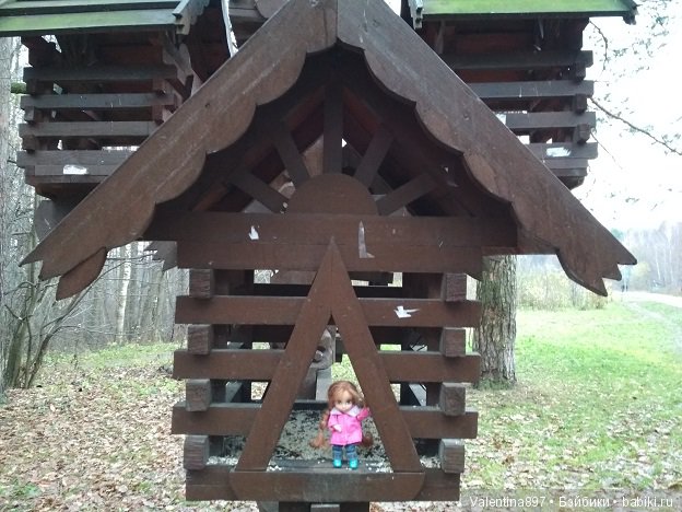 Мой ДР, поездка в гости к Олечке....Счастья полные штаны)))))