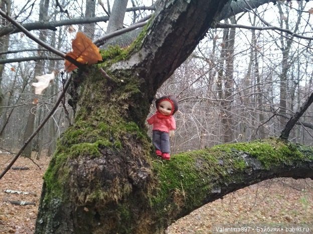 Мой ДР, поездка в гости к Олечке....Счастья полные штаны))))) (фото 9)