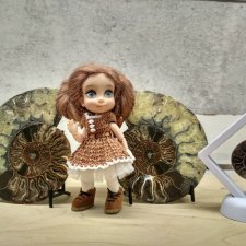 Даринка в гостях у геологов