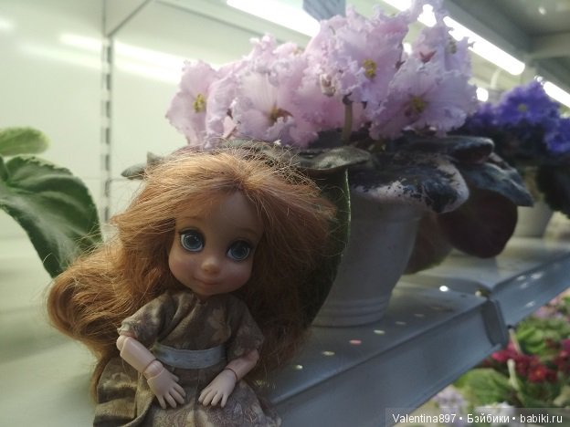 Даринка приглашает на выставку фиалок в Москве, часть вторая