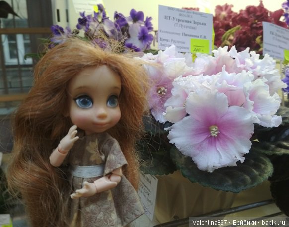 Даринка приглашает на выставку фиалок в Москве