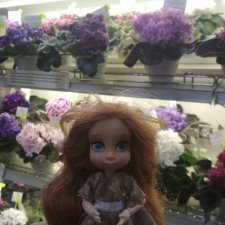 Даринка приглашает на выставку фиалок в Москве