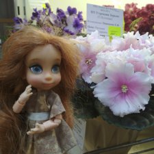 Даринка приглашает на выставку фиалок в Москве, часть вторая