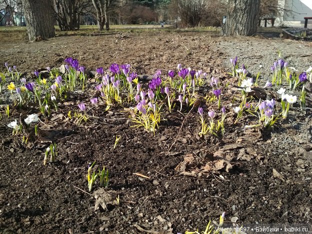 Весна идет, наши выходные