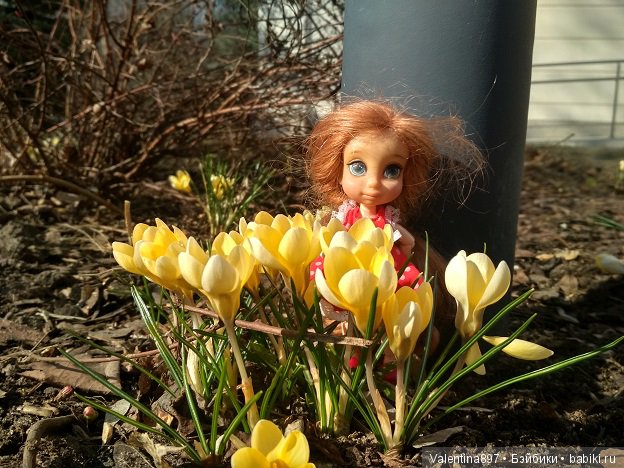 Весна идет, наши выходные