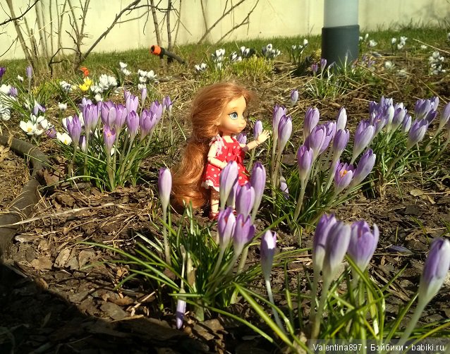 Весна идет, наши выходные