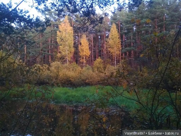 Прошло пол года и мы снова с Вами