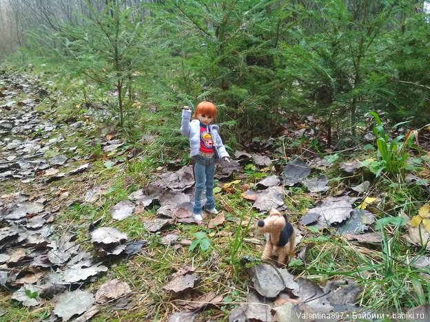 Дачные зарисовки 2019 Радушка