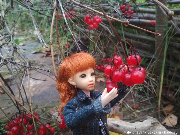 Дачные зарисовки 2019 Радушка (фото 9)