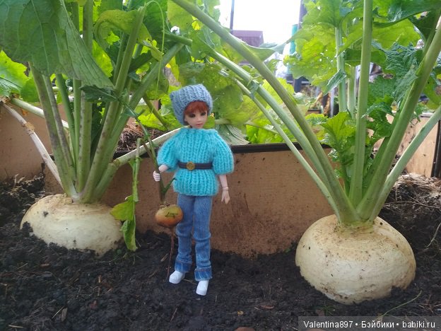 Дачные зарисовки 2019 Радушка