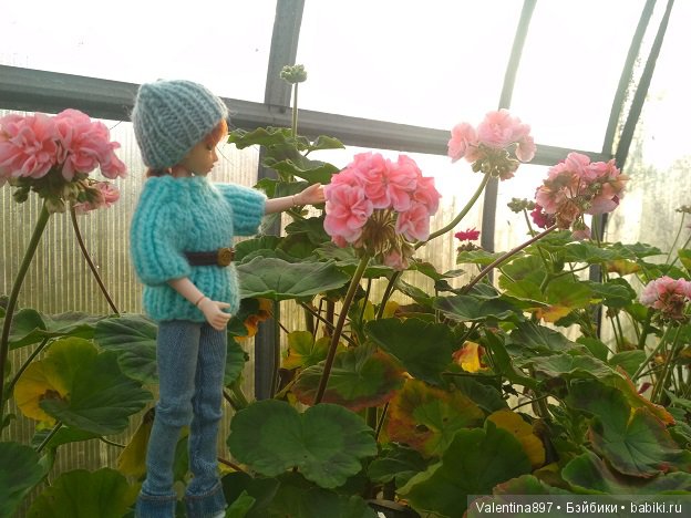 Дачные зарисовки 2019 Радушка