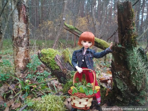 Дачные зарисовки 2019 Радушка (фото 8)