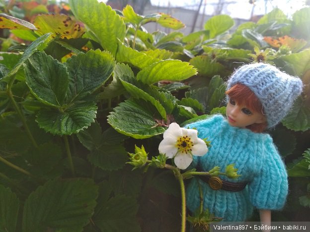 Дачные зарисовки 2019 Радушка