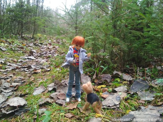 Дачные зарисовки 2019 Радушка