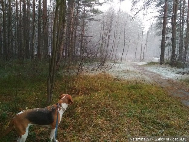 Прошло пол года и мы снова с Вами