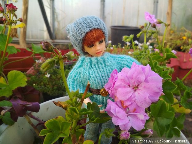 Дачные зарисовки 2019 Радушка