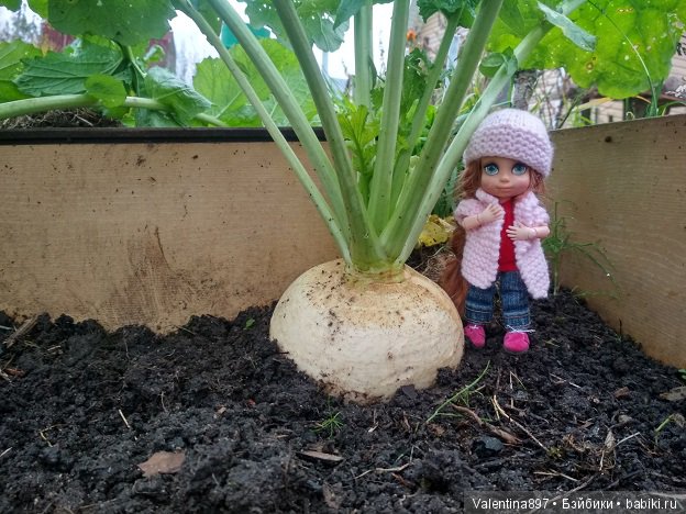 Прошло пол года и мы снова с Вами (фото 2)