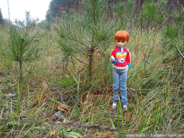 Дачные зарисовки 2019 Радушка