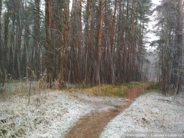 Прошло пол года и мы снова с Вами