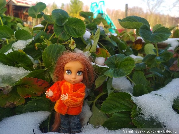 Прошло пол года и мы снова с Вами