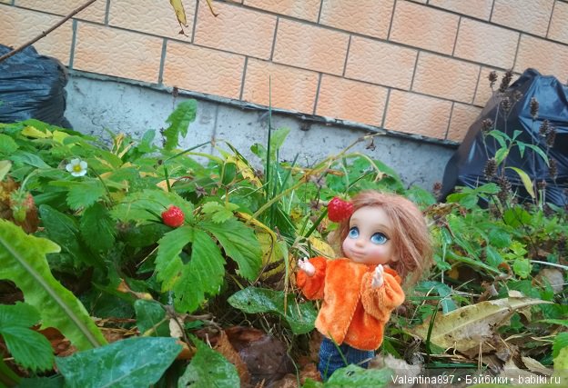 Прошло пол года и мы снова с Вами (фото 9)