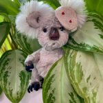 Самая милая Коала