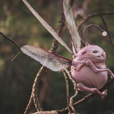 Толстенькая Фея Ани Егоровой