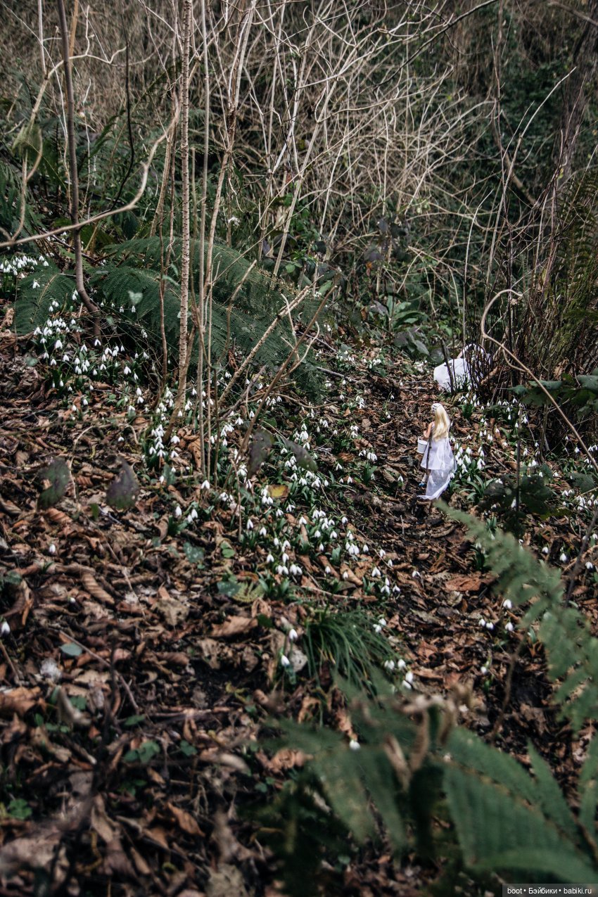 Белый и белый — Болталка и разговоры обо всем: жизнь