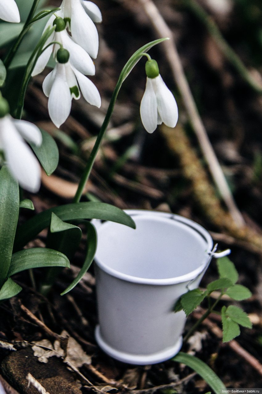 Белый и белый — Болталка и разговоры обо всем: жизнь (фото 10)