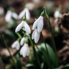 Белый и белый