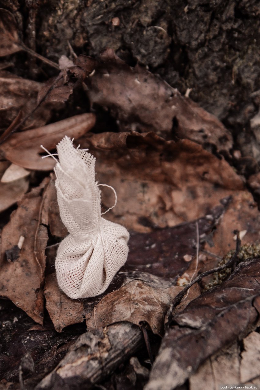 В лесу раздавался топор дровосека (фото 2)