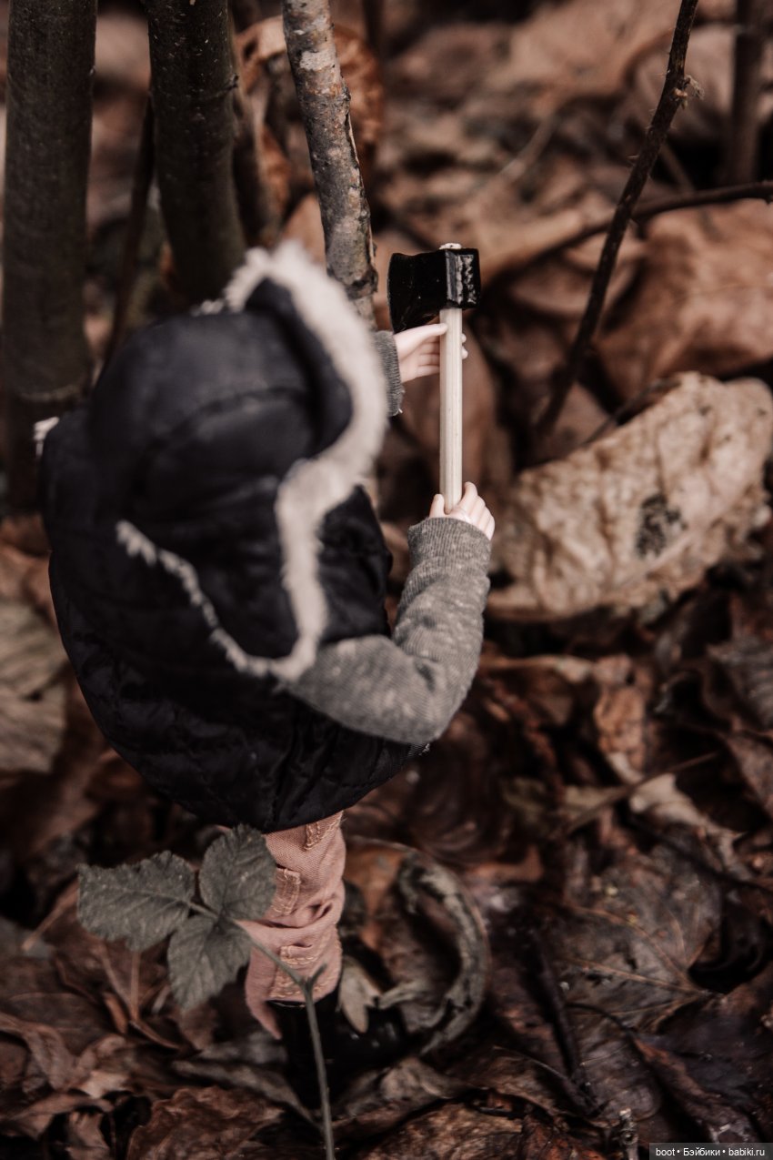 В лесу раздавался топор дровосека (фото 3)