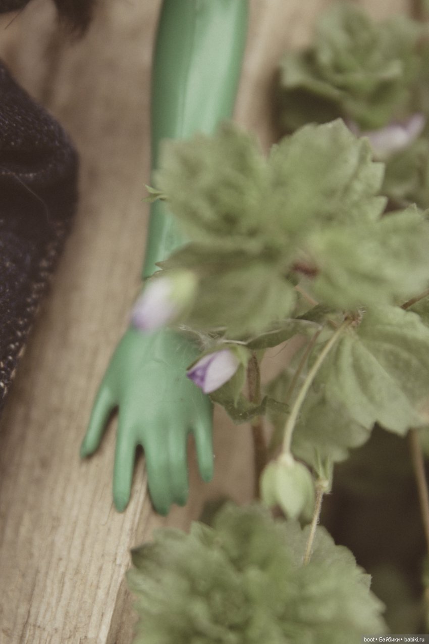 Зелёная на зелёном — Болталка и разговоры обо всем: жизнь (фото 5)