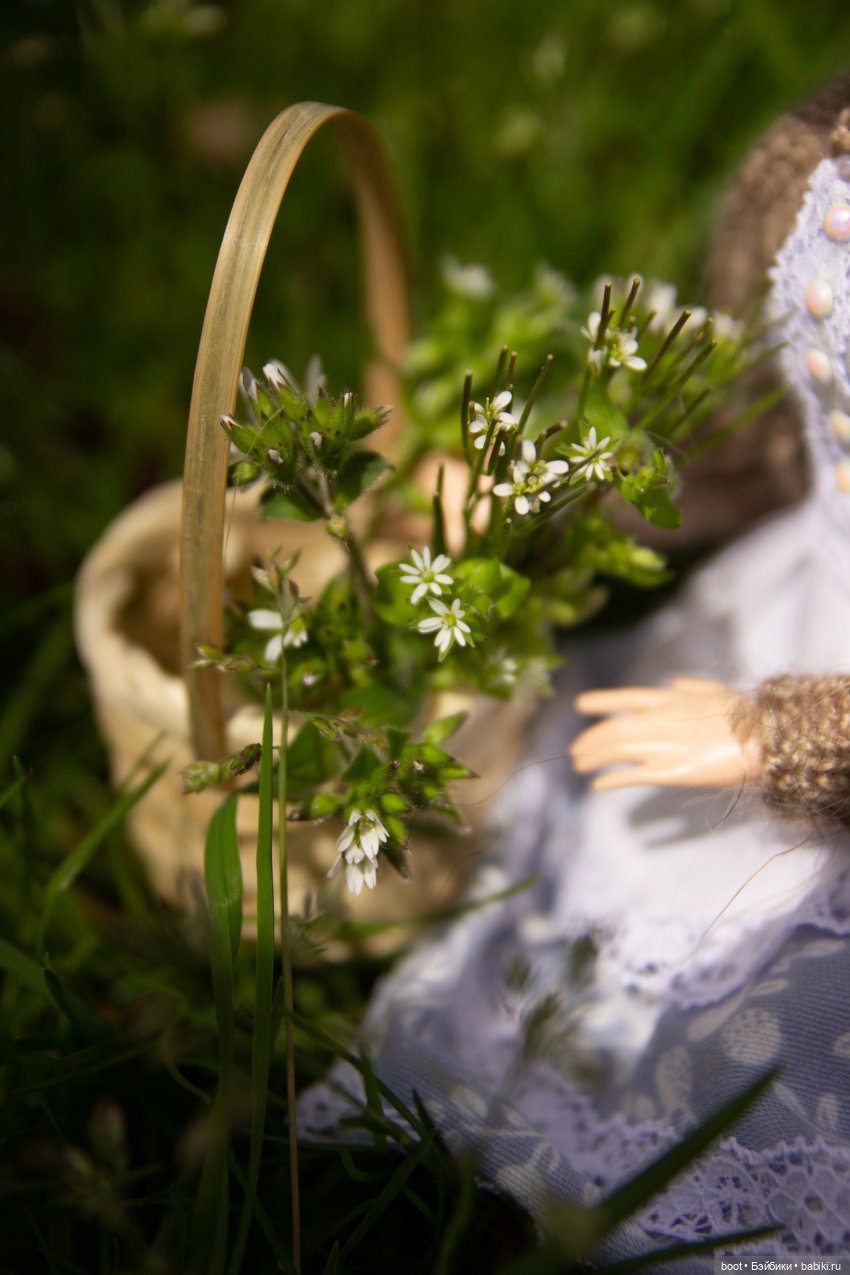 Зиночка — Болталка и разговоры обо всем: жизнь (фото 9)