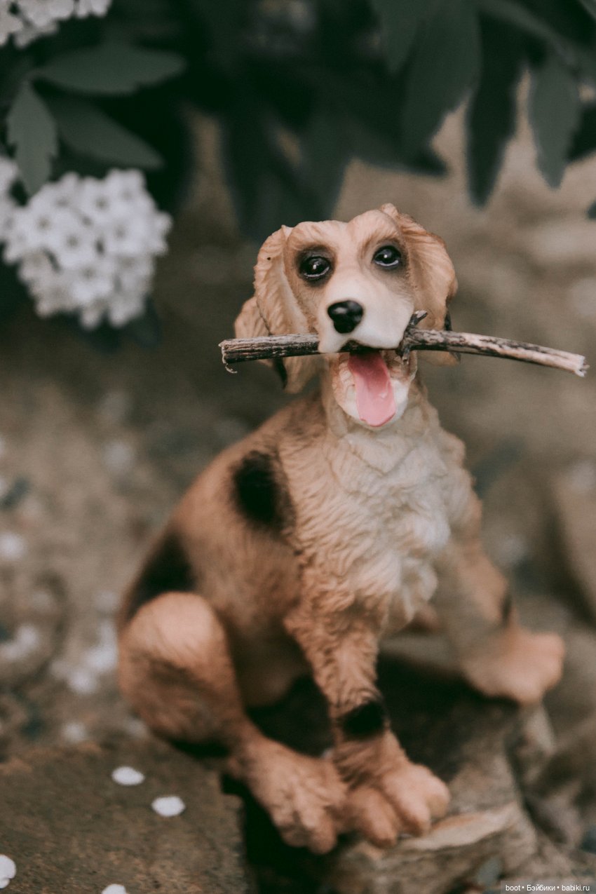 Д'АртаньГав — Болталка и разговоры обо всем: жизнь (фото 9)