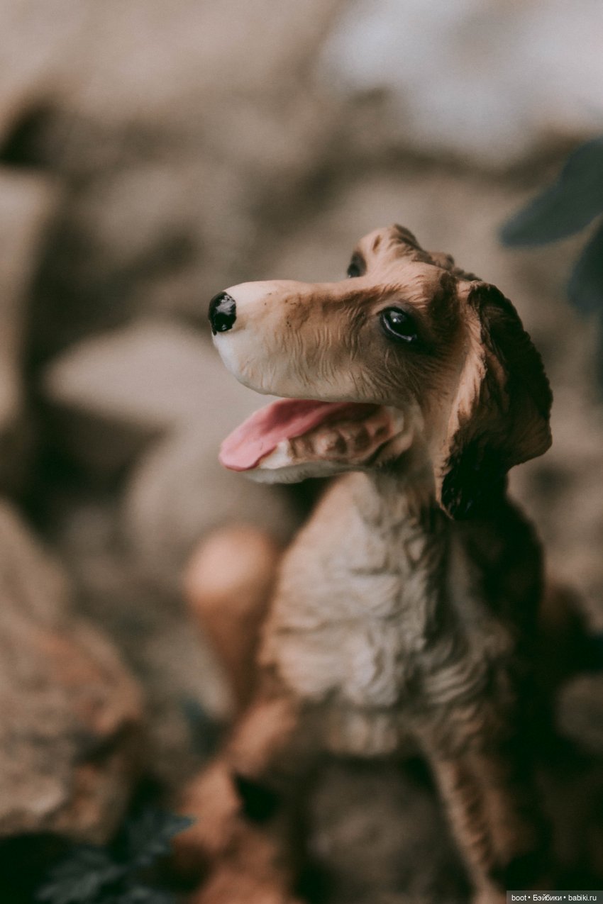 Д'АртаньГав — Болталка и разговоры обо всем: жизнь (фото 4)