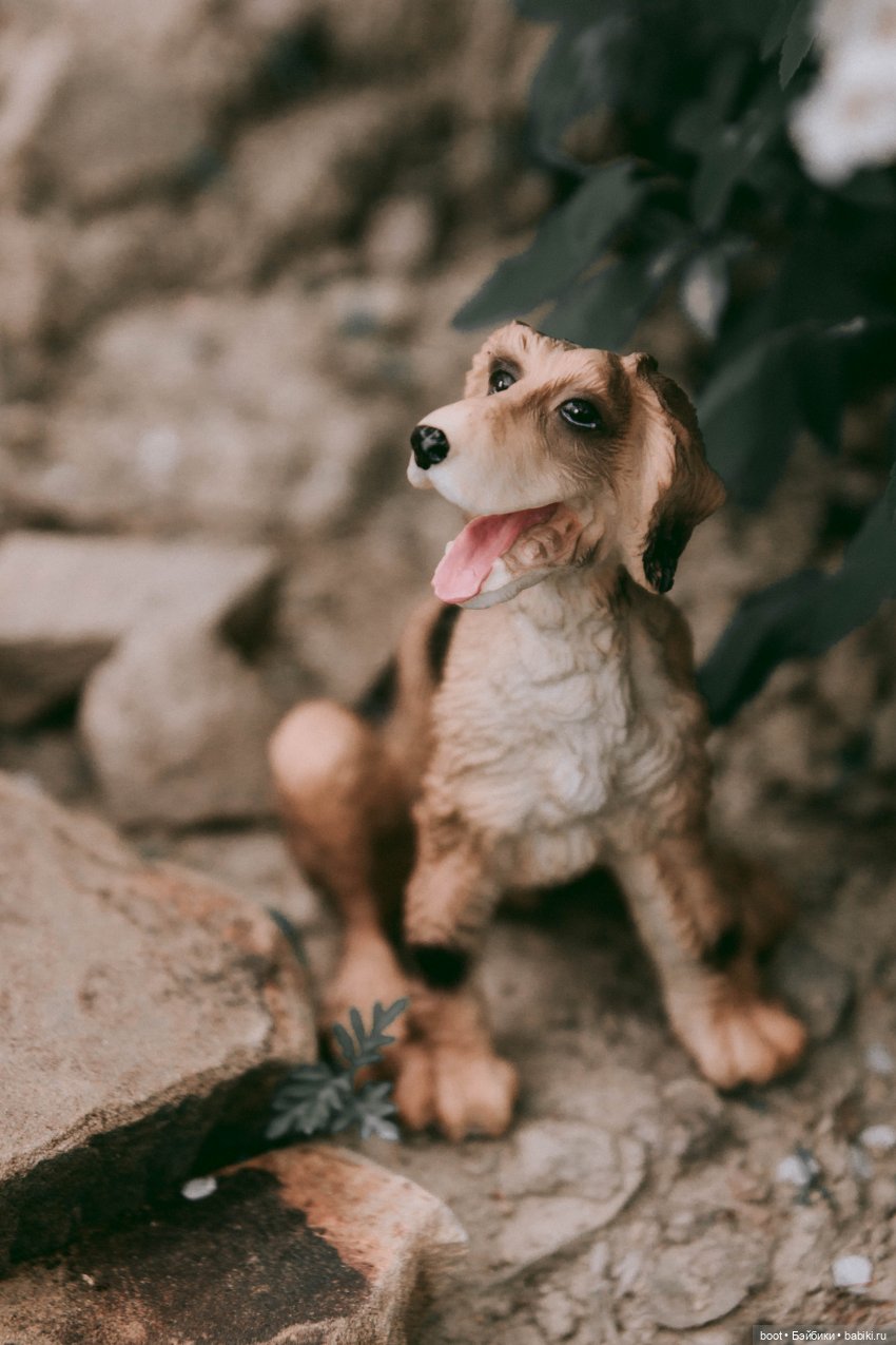 Д'АртаньГав — Болталка и разговоры обо всем: жизнь (фото 2)