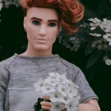 Д'АртаньГав