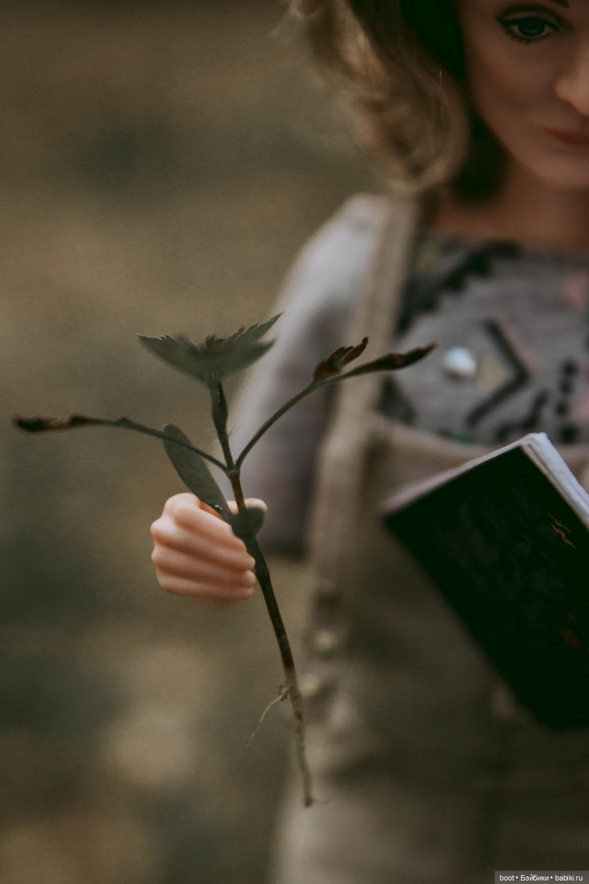 Пиндершлосс и полезная книга | Бэйбики Пиндершлосс и полезная книга (фото 8)