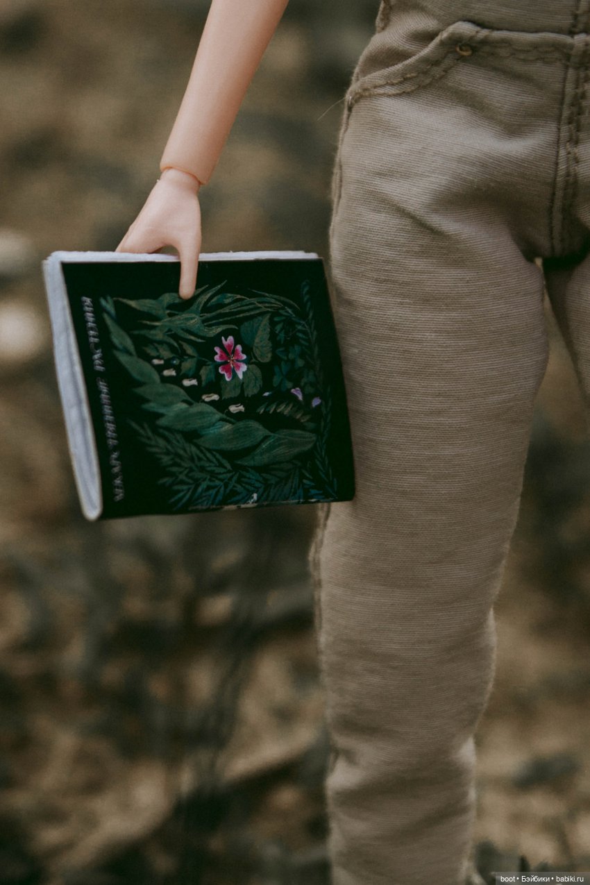 Пиндершлосс и полезная книга | Бэйбики Пиндершлосс и полезная книга (фото 5)