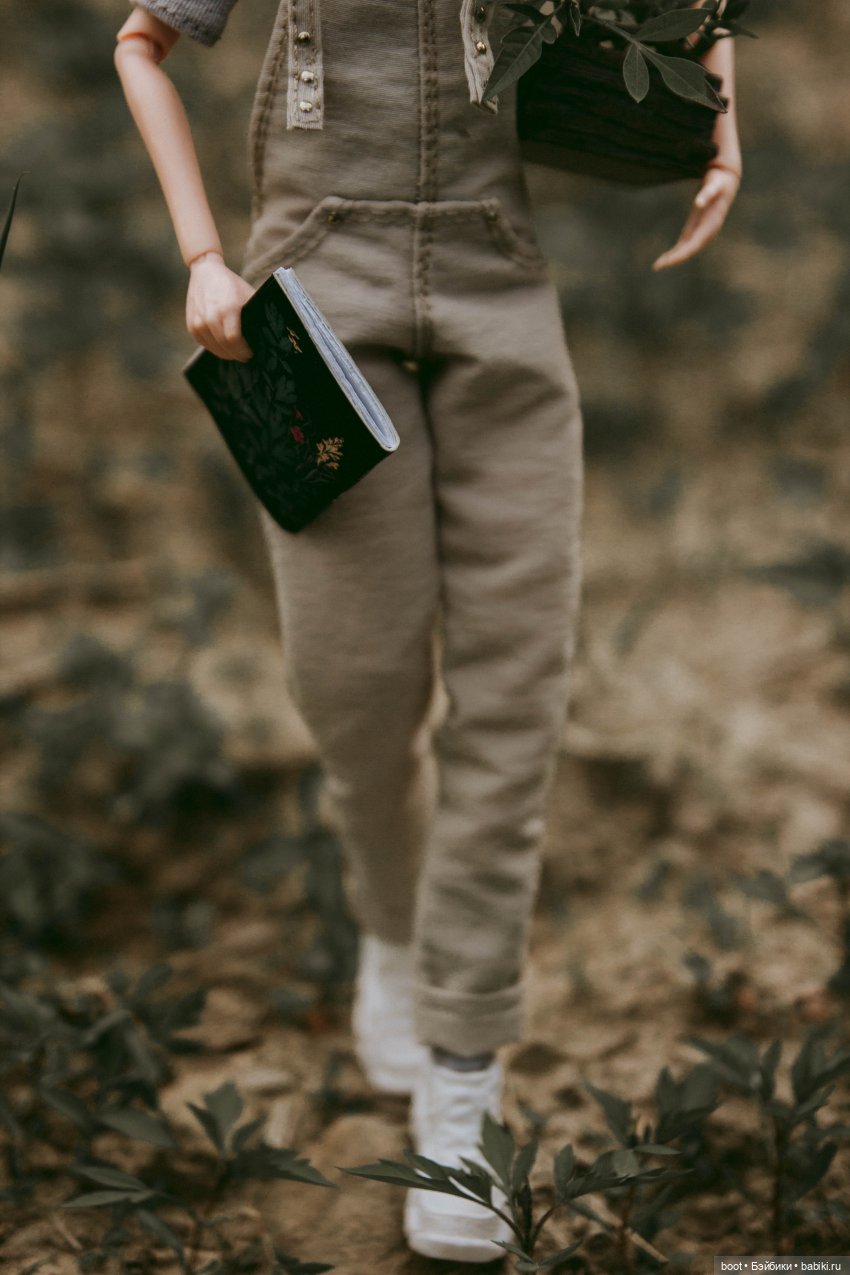 Пиндершлосс и полезная книга | Бэйбики Пиндершлосс и полезная книга