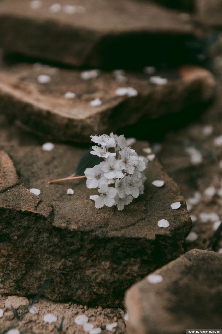 Болталка и разговоры обо всем: жизнь (фото 10)