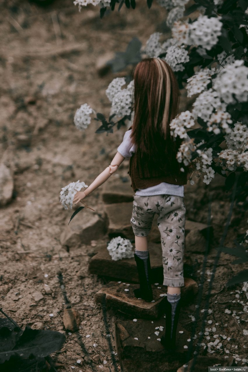 Лиса | Бэйбики Болталка и разговоры обо всем: жизнь (фото 6)