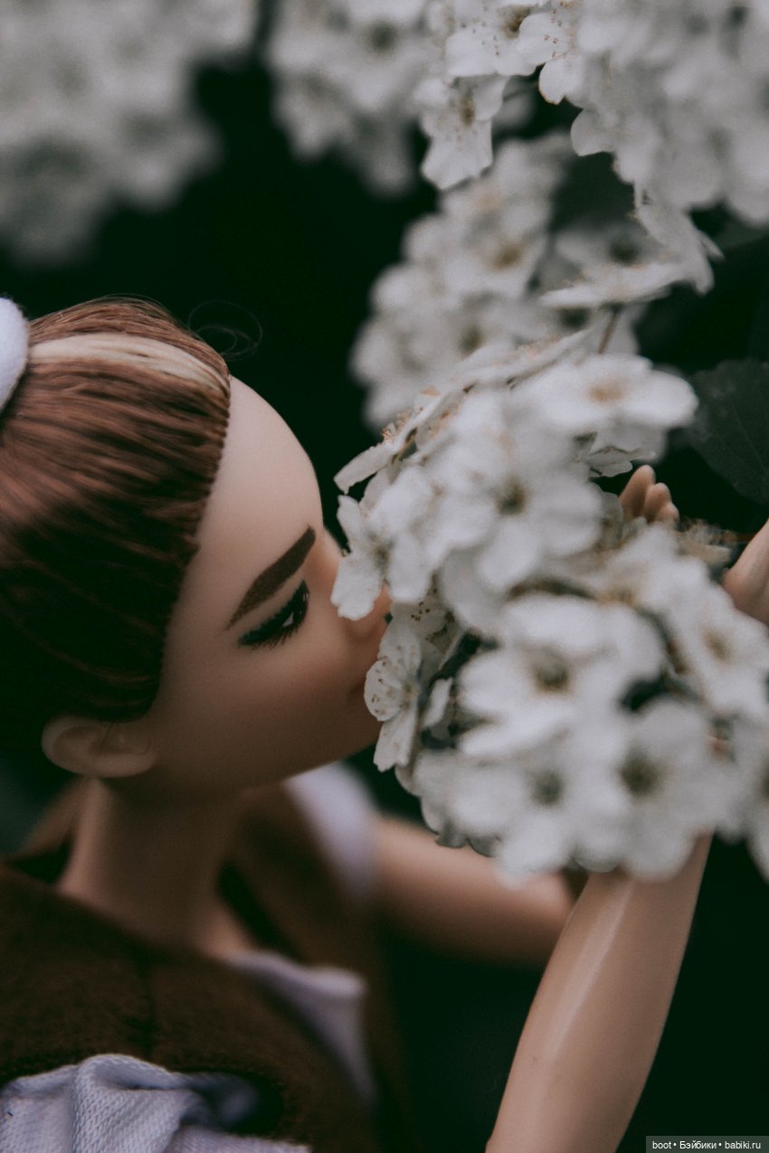 Лиса | Бэйбики Болталка и разговоры обо всем: жизнь (фото 3)